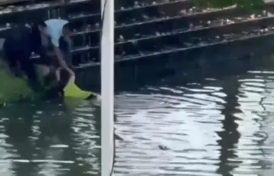 VIDEO | Mujer es salvada de ser devorada por un cocodrilo en Villahermosa, Tabasco