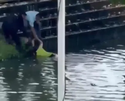 VIDEO | Mujer es salvada de ser devorada por un cocodrilo en Villahermosa, Tabasco