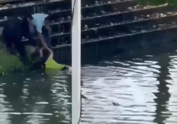 VIDEO | Mujer es salvada de ser devorada por un cocodrilo en Villahermosa, Tabasco