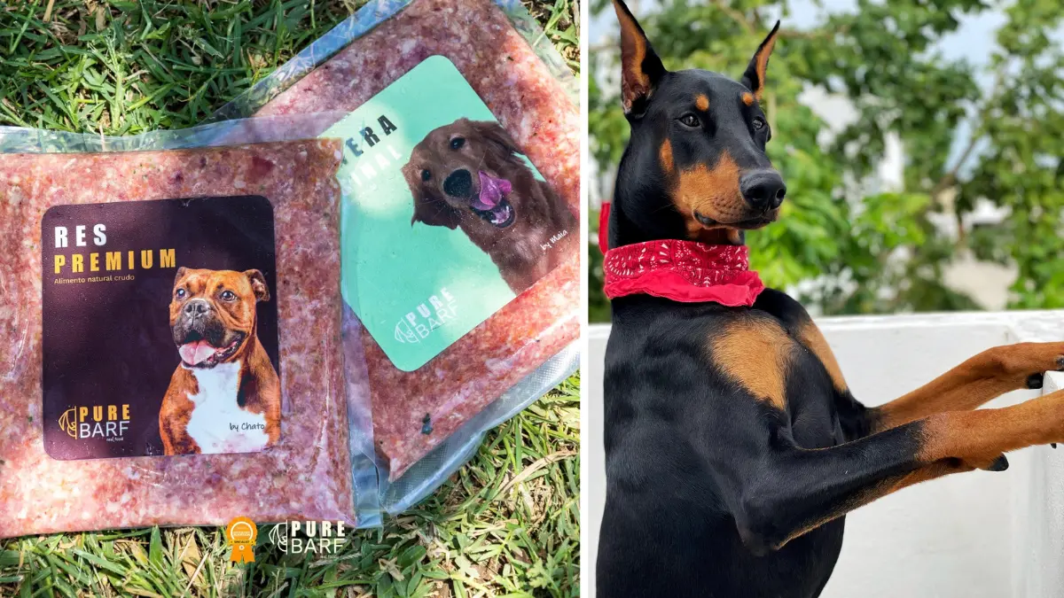 Snoop falleció el pasado 23 de abril Foto: Redes Sociales
