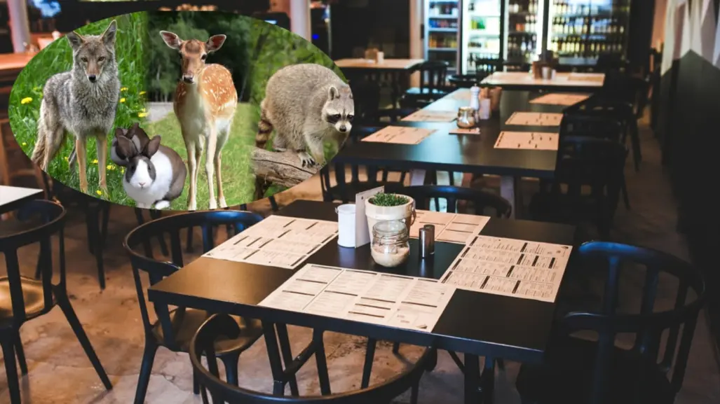 El restaurante de Durango que tiene un pequeño zoológico abierto a los clientes en su interior