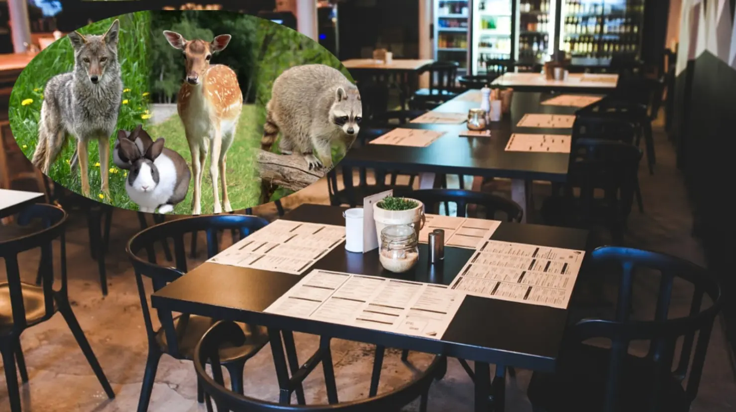 Foto: Pixabay | Este restaurante en Durango cuenta con un pequeño zoológico abierto a sus comensales.