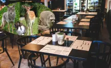 El restaurante de Durango que tiene un pequeño zoológico abierto a los clientes en su interior