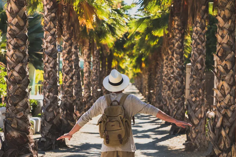 San José del Cabo. foto: Freepik.