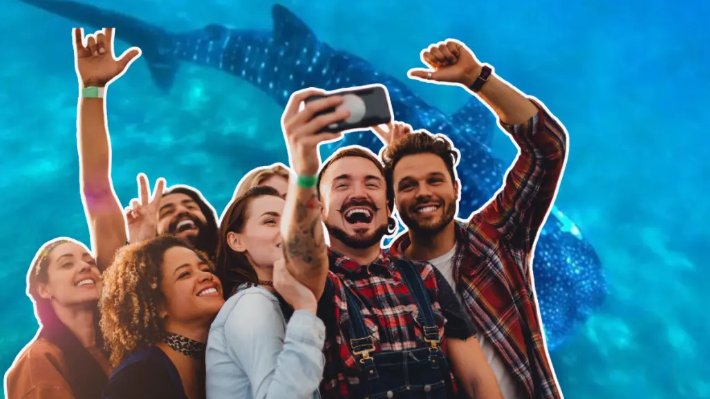 Por primera vez en La Paz, invitan al Homenaje - Festival del Tiburón Ballena