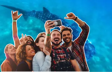 Por primera vez en La Paz, invitan al Homenaje - Festival del Tiburón Ballena