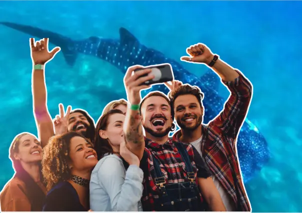 Por primera vez en La Paz, invitan al Homenaje - Festival del Tiburón Ballena