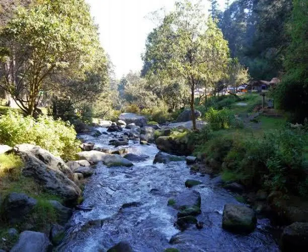 Fotos: Sedema