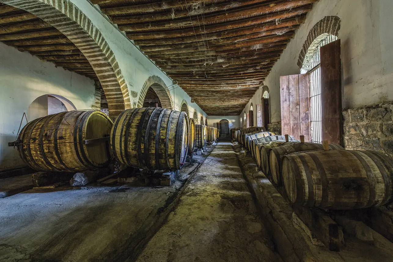 Vinos vitali. Foto de Cuatro Ciénegas Magic Town.