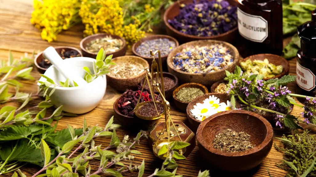 5 plantas medicinales imprescindibles en tu botiquín; curan heridas y alivian