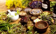 5 plantas medicinales imprescindibles en tu botiquín; curan heridas y alivian