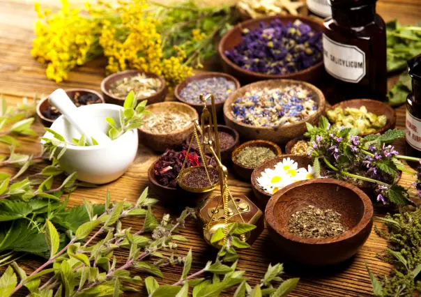 5 plantas medicinales imprescindibles en tu botiquín; curan heridas y alivian