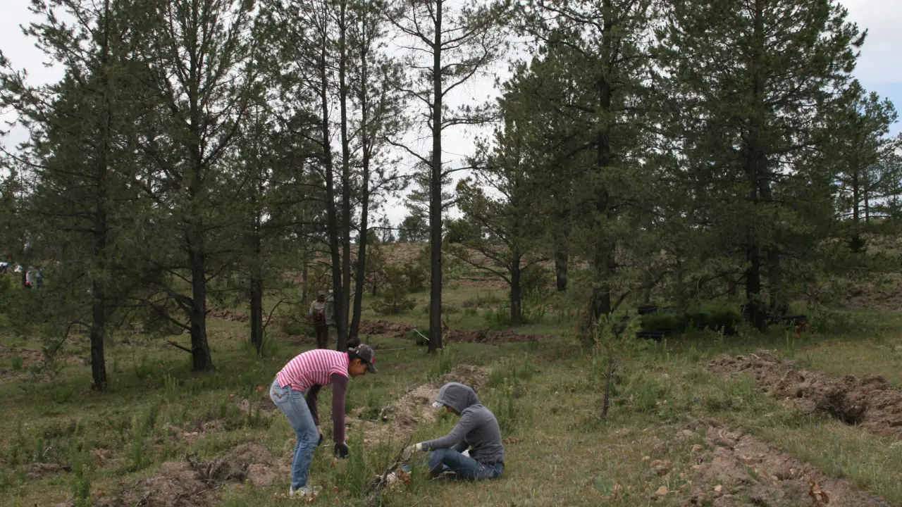 Cuidar del bosque es una responsabilidad de quienes lo visitan para disfrutar de la naturaleza. Foto: Citlalli Zoé Sánchez.