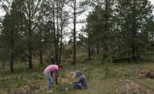 3 cosas que están PROHIBIDAS en el bosque de Durango
