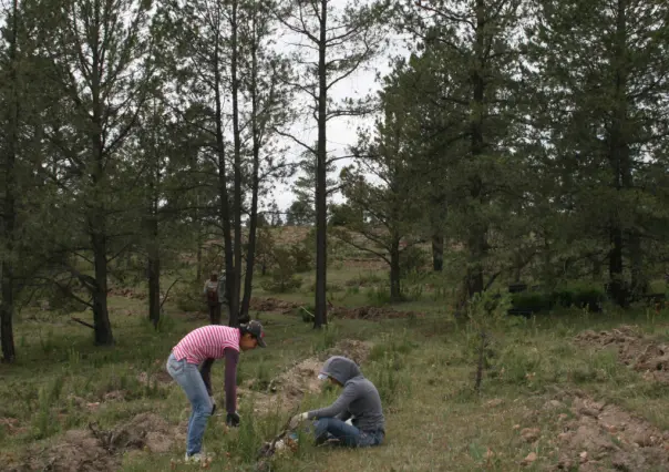 3 cosas que están PROHIBIDAS en el bosque de Durango