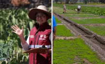 El campo en CDMX: estas son las alcaldías que tienen zonas rurales