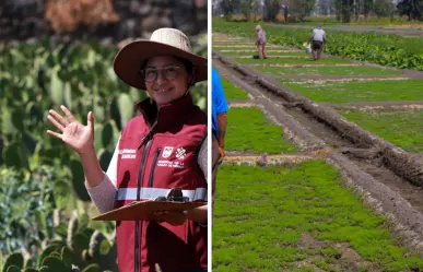 El campo en CDMX: estas son las alcaldías que tienen zonas rurales