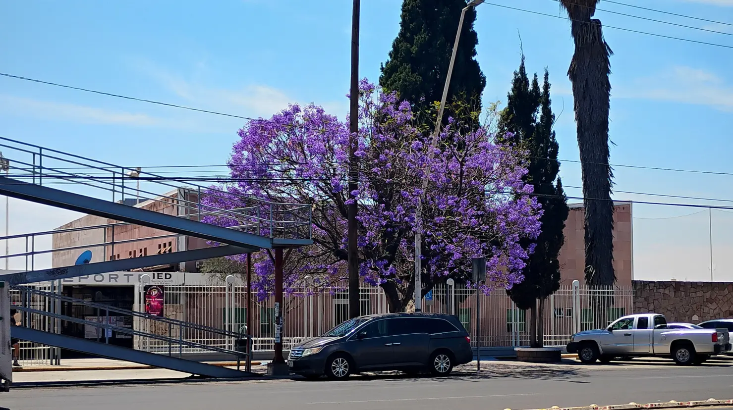 ¿Cómo estará el clima hoy? | Foto: Lorena Ríos