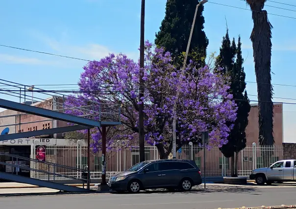 El clima en Durango para este 3 de mayo, ¿qué esperar para este fin de semana?