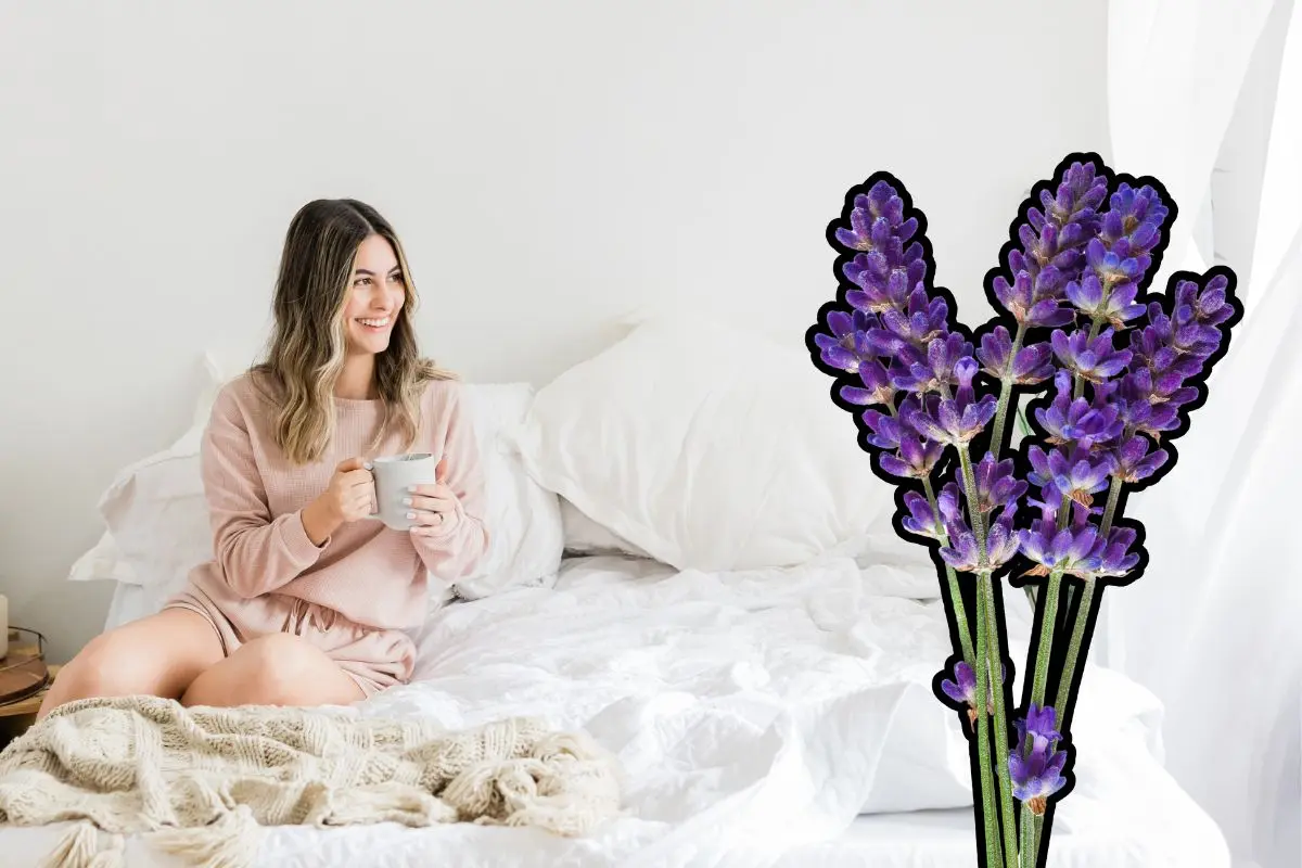 Planta nativa de Nuevo León que promete hacerte recuperar el sueño Foto: Canva
