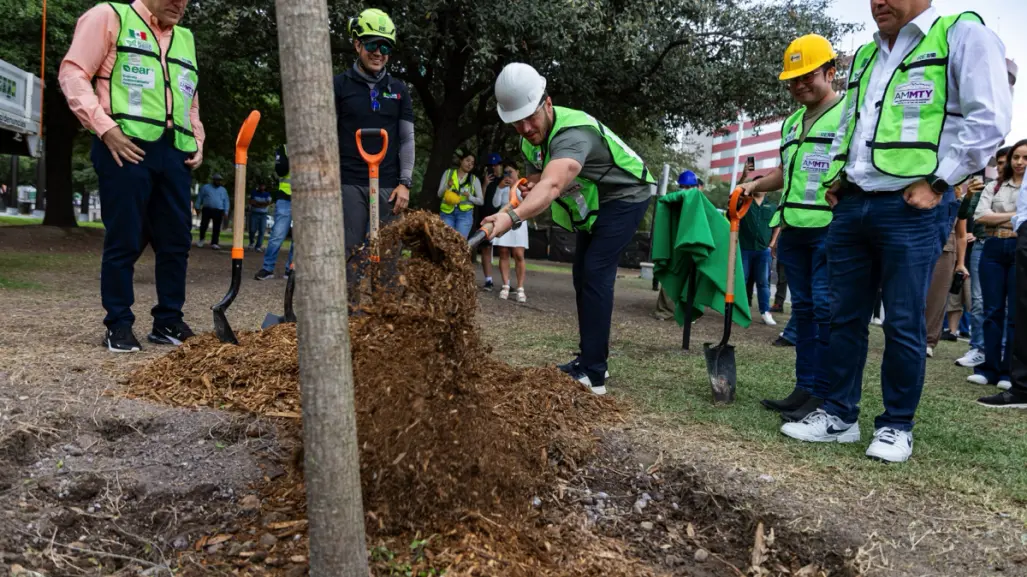 Nuevo León impulsa reforestación con 650 mil árboles plantados en tres años