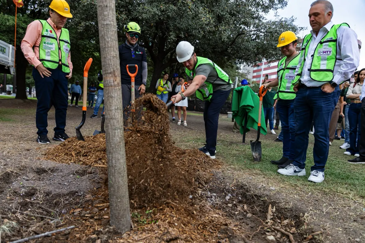 En el marco del Día del Árbol Regiomontano. Foto: Gobierno de Nuevo León