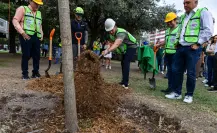 Nuevo León impulsa reforestación con 650 mil árboles plantados en tres años