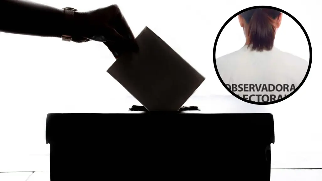 Elecciones al Poder Judicial en Coahuila: ¿Cómo participar como observador electoral?