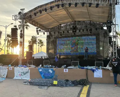 Festival del Tiburón Ballena en La Paz se centra en la conservación y educación ambiental