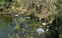 Regresa la basura al Río Tunal tras Jornada de Recuperación