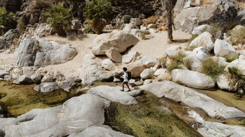 Este lugar es conocido por su cascada y entorno de rocas y vegetación. Foto: Visita Los Cabos