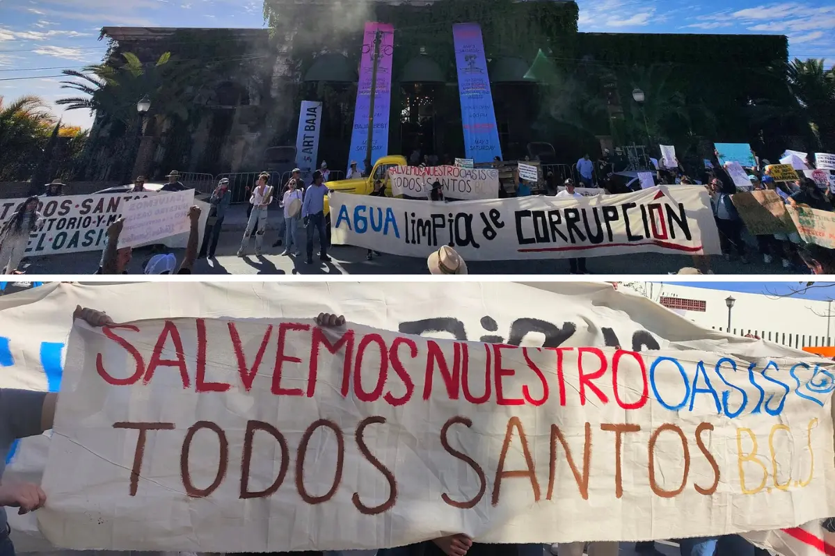 Foto: El Organismo/Facebook.