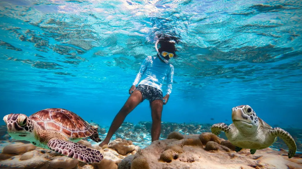 4 playas ideales para practicar snorkel en La Paz
