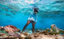 4 playas ideales para practicar snorkel en La Paz