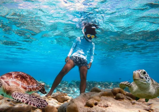 4 playas ideales para practicar snorkel en La Paz