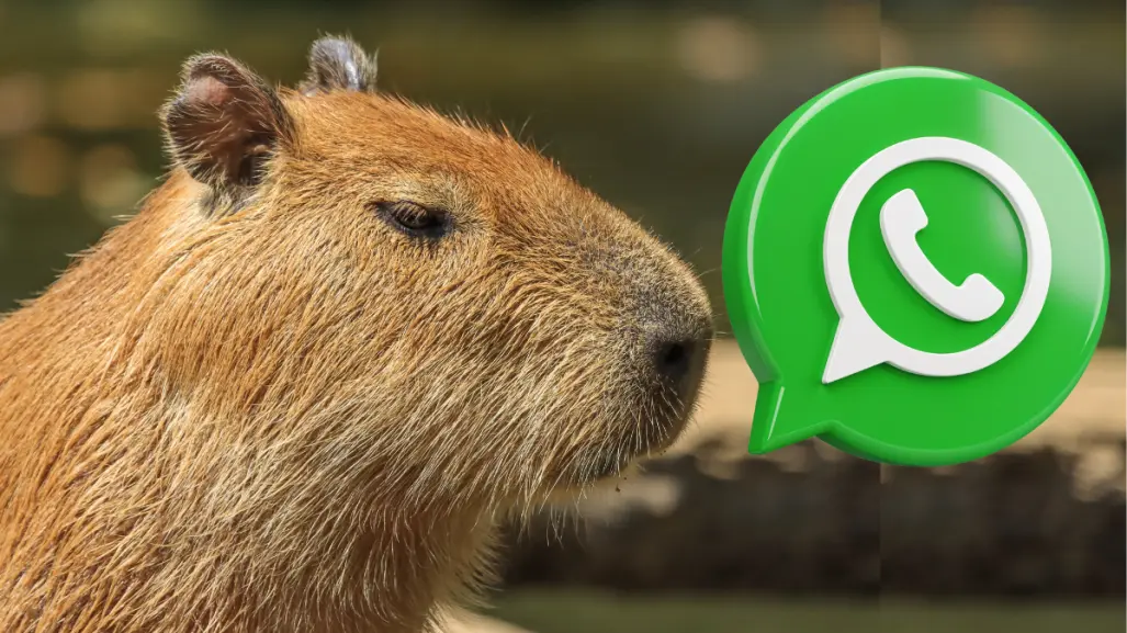 Activa el modo capibara en WhatsApp con estos 3 sencillos pasos