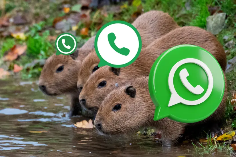 Cambiar el logo de WhatsApp por el icónico modo Capibara es sencillo con el uso de un launcher. Foto: Canva