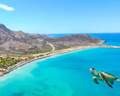 Megadesarrollos turísticos de lujo intentan apropiarse de Cabo del Este, en BCS