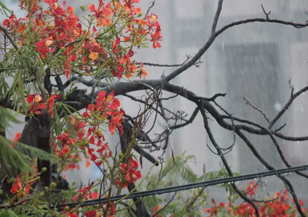 El clima en BCS para este lunes 5 de mayo advierte de lloviznas en algunas zonas