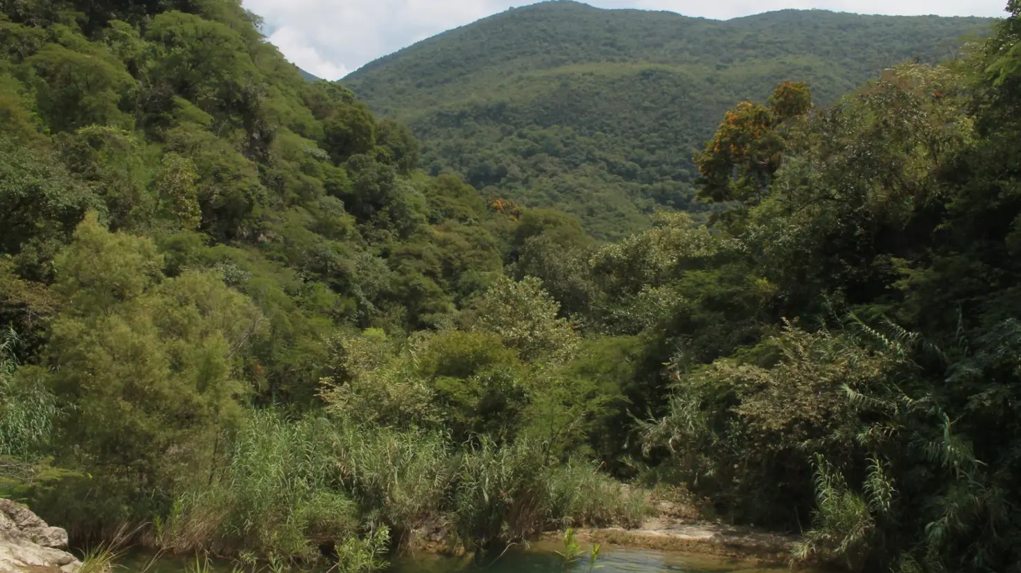Este río forma 3 cascadas en un rincón del pueblo mágico ideal para un día de campo