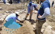Instalan un jardín de lluvia en la UABCS, ¿de qué se trata?