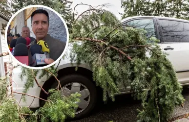 Árboles en Saltillo: Incrementan atención para detectar daño ambiental 