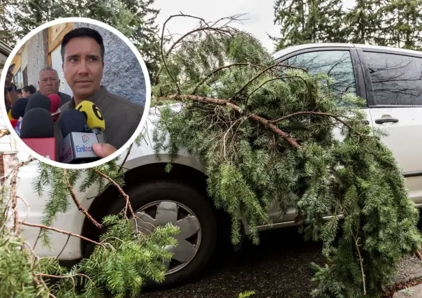 Árboles en Saltillo: Incrementan atención para detectar daño ambiental 
