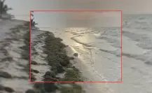 ¿Cómo afecta el sargazo a las costas de Yucatán? Esto se sabe