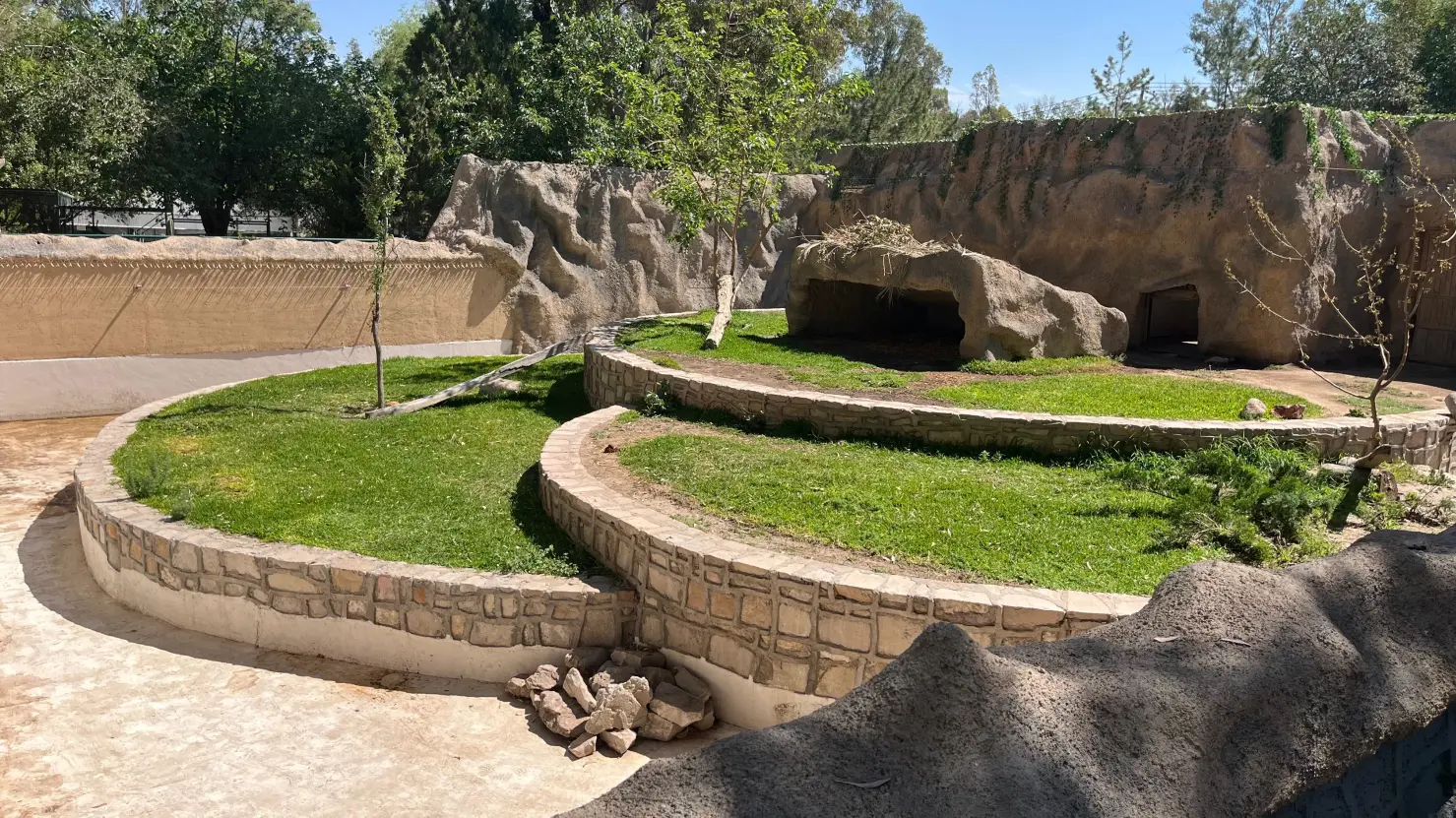 Durango llegó a cifra récord en visitantes del Zoológico Sahuatoba