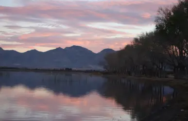 Cómo llegar a la laguna de Durango que está entre los humedales más importantes de Norteamérica