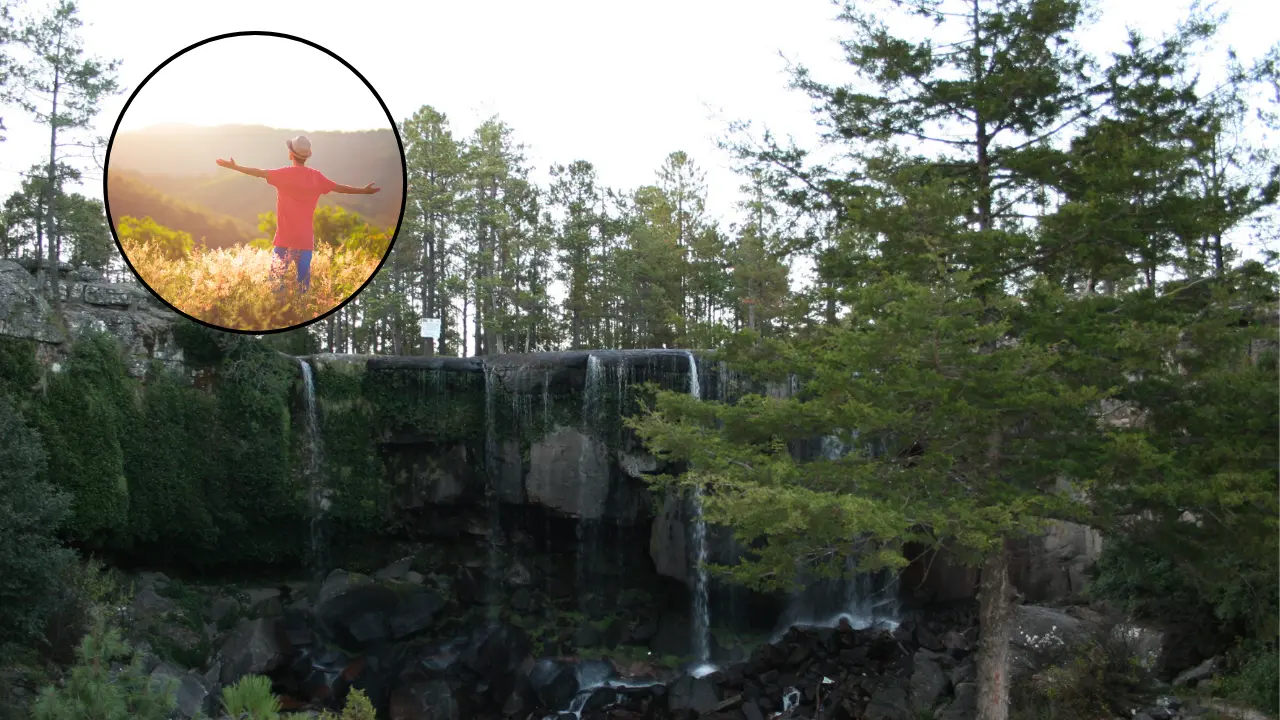 El baño de bosque se puede practicar en Durango. Foto: Especial.