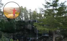 ¿Qué es el baño de bosque y cómo practicarlo en Durango?