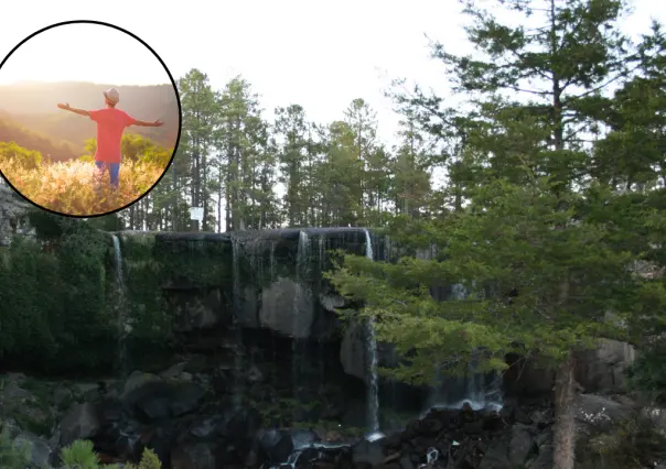 ¿Qué es el baño de bosque y cómo practicarlo en Durango?