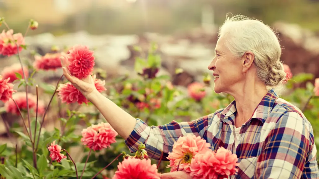 ¡Bienvenido mayo! Embellece tu jardín con estas 5 plantas perfectas para el mes
